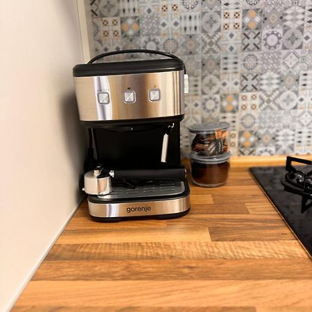 Jungle Loft Apartment Suceava Luaran gambar