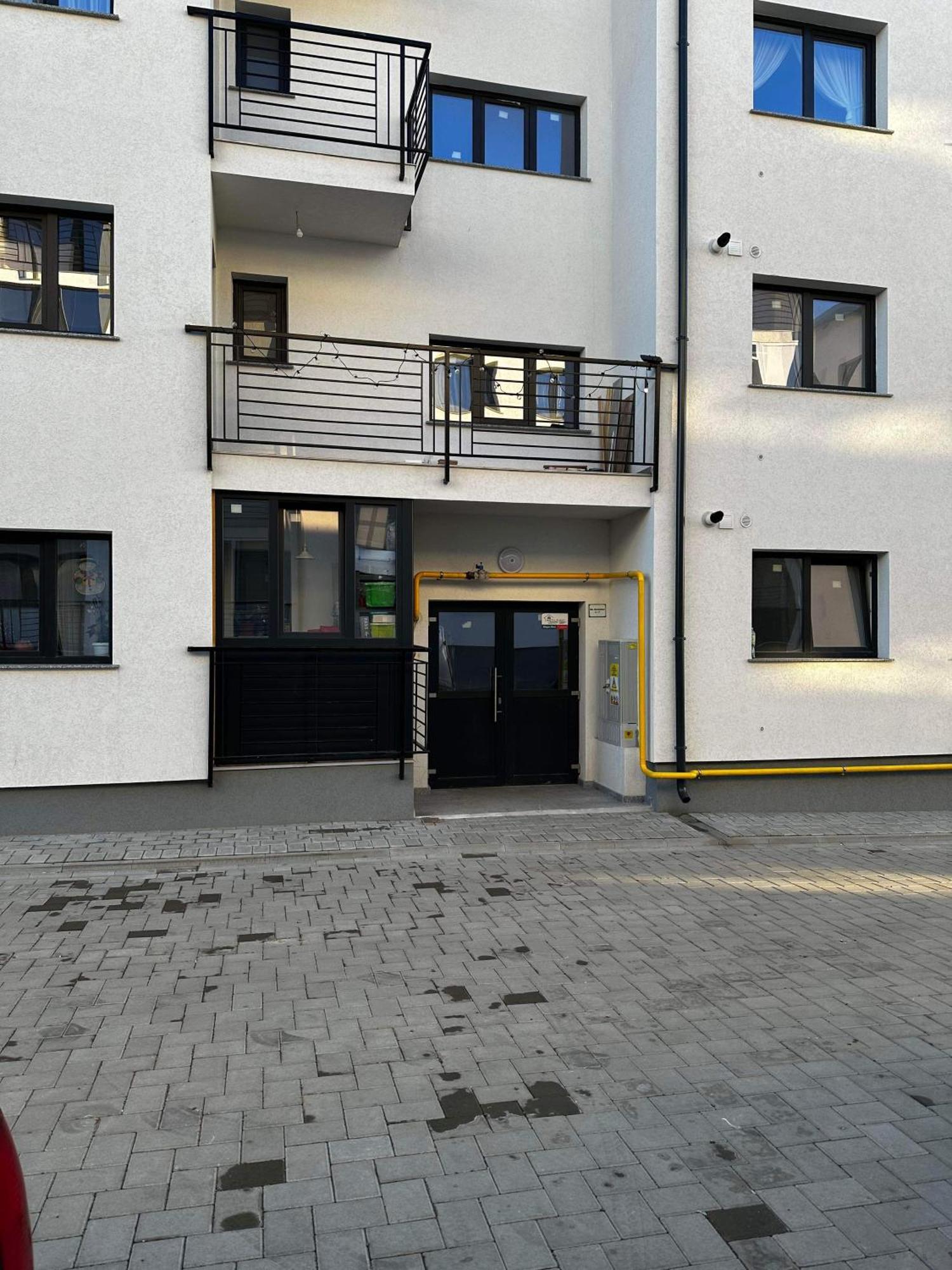 Jungle Loft Apartment Suceava Luaran gambar