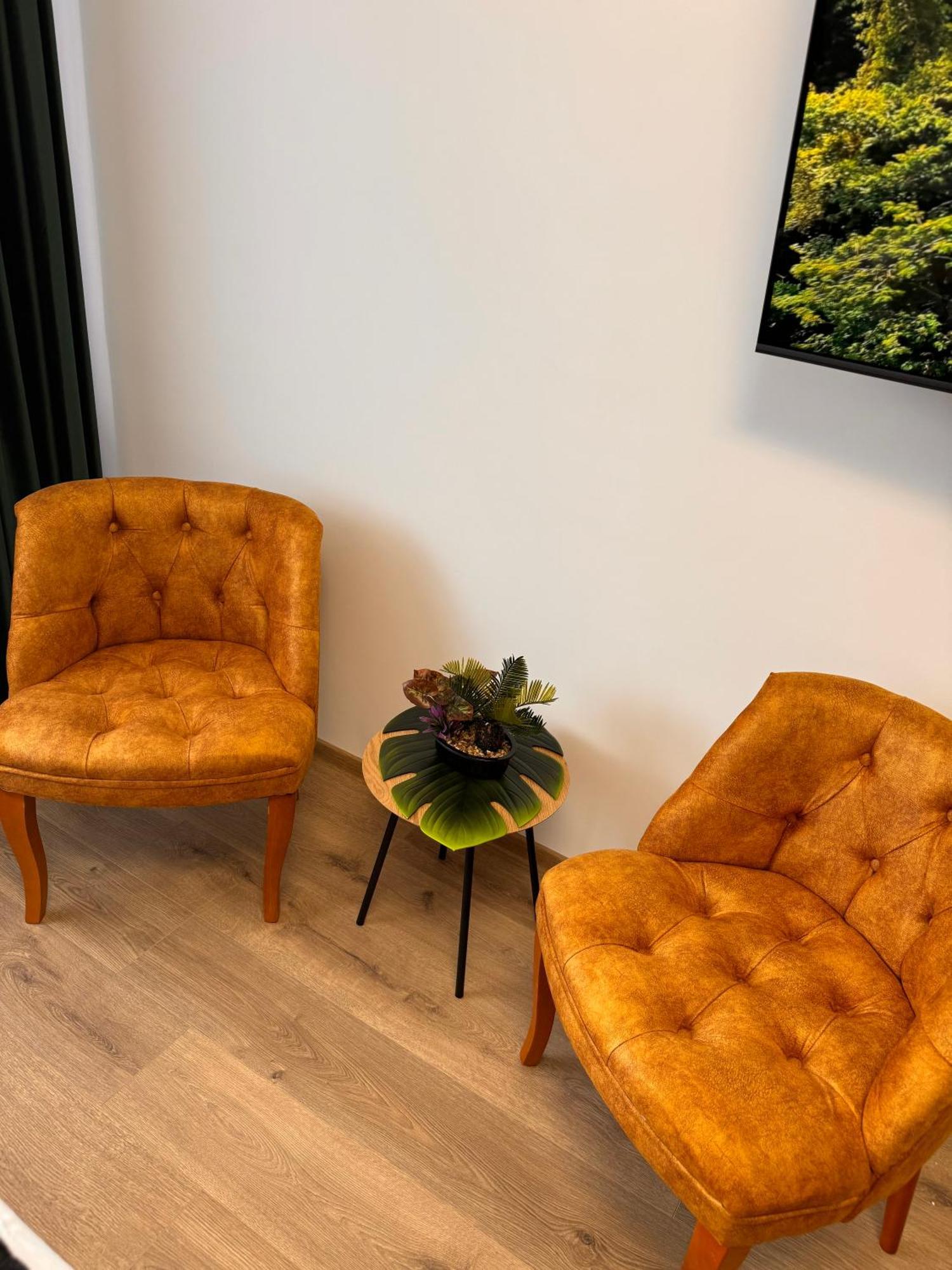 Jungle Loft Apartment Suceava Luaran gambar