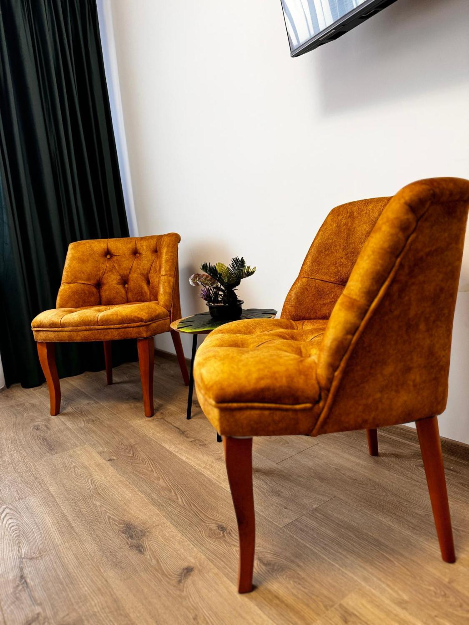 Jungle Loft Apartment Suceava Luaran gambar